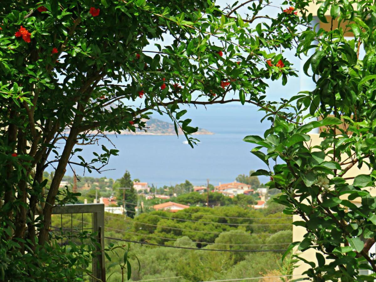 Thimari Sports & Spa With Private Pool And Jacuzzi Sounion Exterior photo